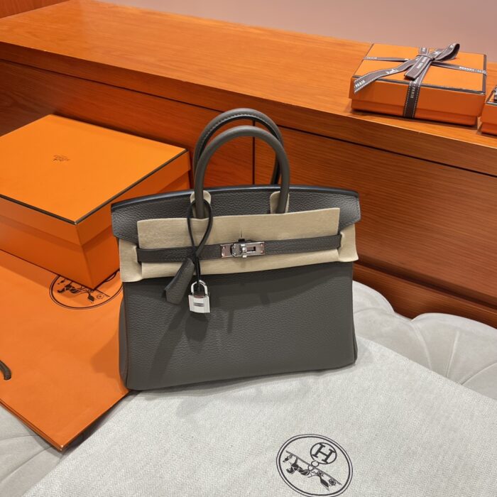 Birkin 25 | 8F Etain Togo Leather | Silver Hardware | 25×20×13cm - Image 2