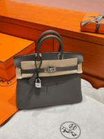 Birkin 25 | 8F Etain Togo Leather | Silver Hardware | 25×20×13cm