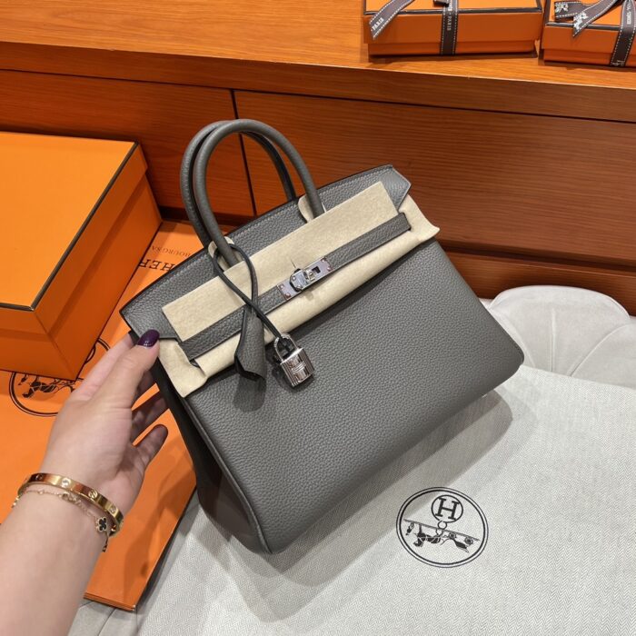 Birkin 25 | 8F Etain Togo Leather | Silver Hardware | 25×20×13cm - Image 3