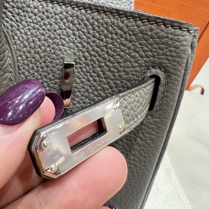 Birkin 25 | 8F Etain Togo Leather | Silver Hardware | 25×20×13cm - Image 7