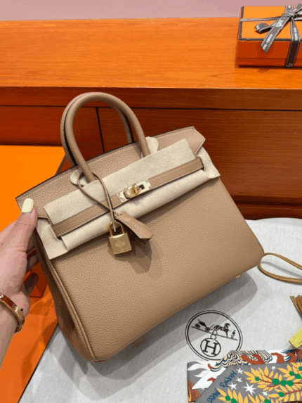 Birkin 25 | OM Chai Togo Leather | Gold Hardware | 25×20×13cm