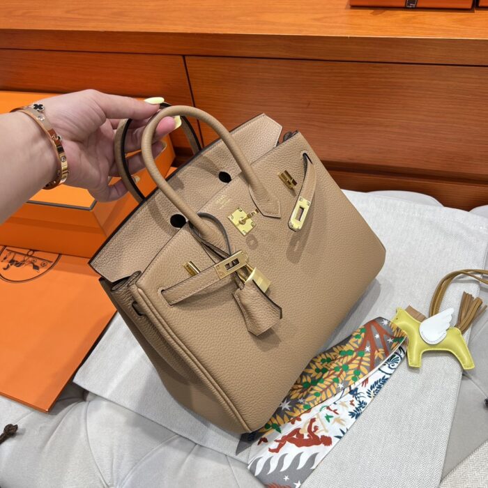 Birkin 25 | OM Chai Togo Leather | Gold Hardware | 25×20×13cm - Image 3