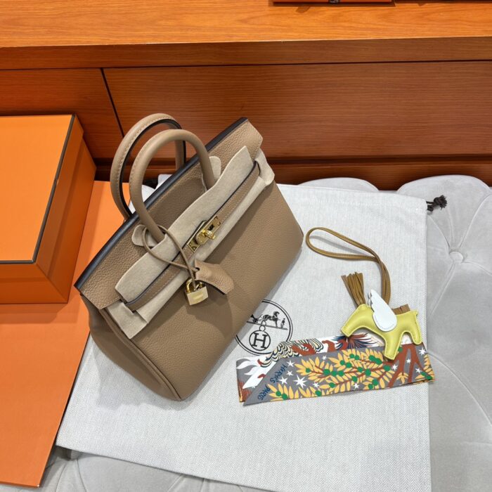Birkin 25 | OM Chai Togo Leather | Gold Hardware | 25×20×13cm - Image 4