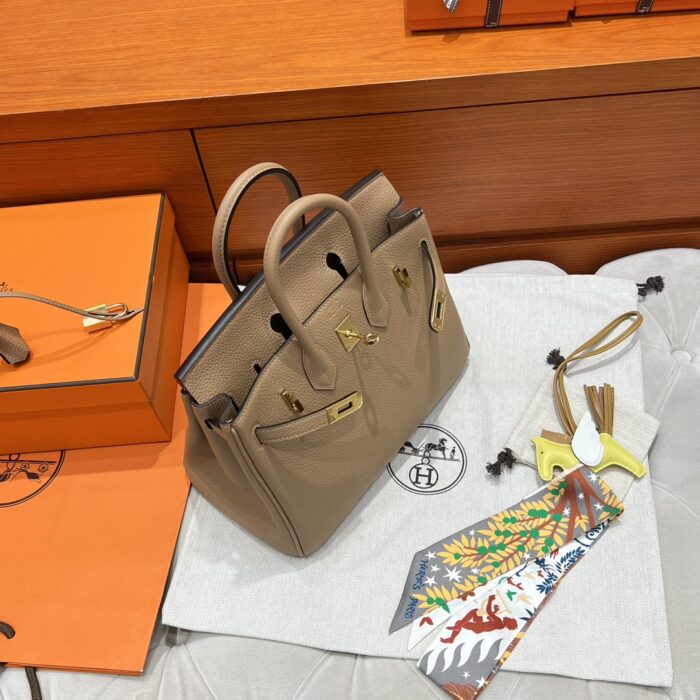 Birkin 25 | OM Chai Togo Leather | Gold Hardware | 25×20×13cm - Image 5