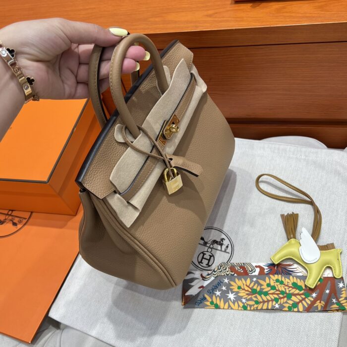 Birkin 25 | OM Chai Togo Leather | Gold Hardware | 25×20×13cm - Image 6