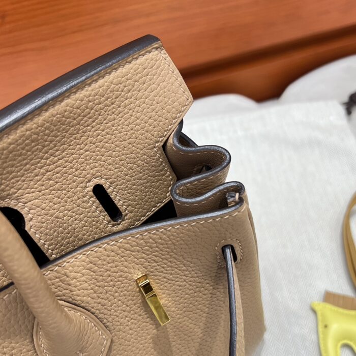 Birkin 25 | OM Chai Togo Leather | Gold Hardware | 25×20×13cm - Image 8
