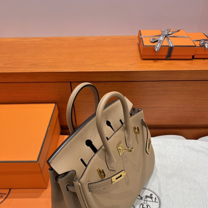 Birkin 25 | OM Chai Togo Leather | Gold Hardware | 25×20×13cm - Image 9