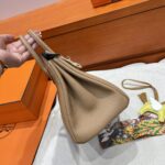 Birkin 25 | OM Chai Togo Leather | Gold Hardware | 25×20×13cm - Image 10