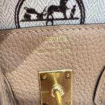 Birkin 25 | OM Chai Togo Leather | Gold Hardware | 25×20×13cm - Image 12