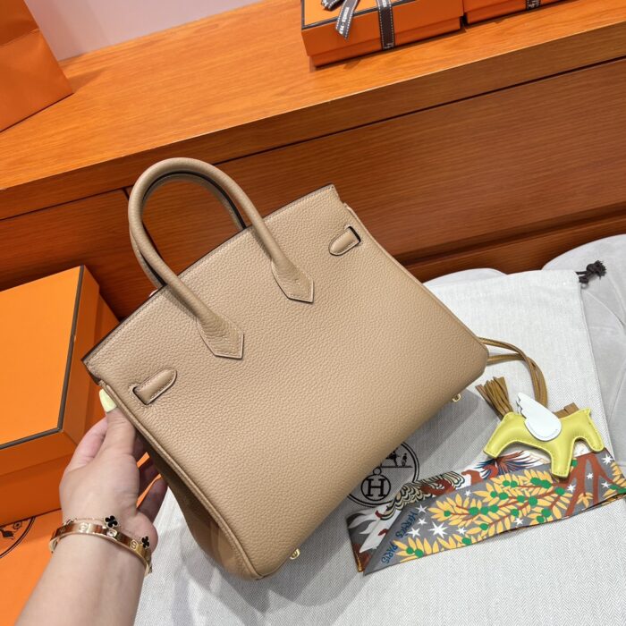 Birkin 25 | OM Chai Togo Leather | Gold Hardware | 25×20×13cm - Image 16