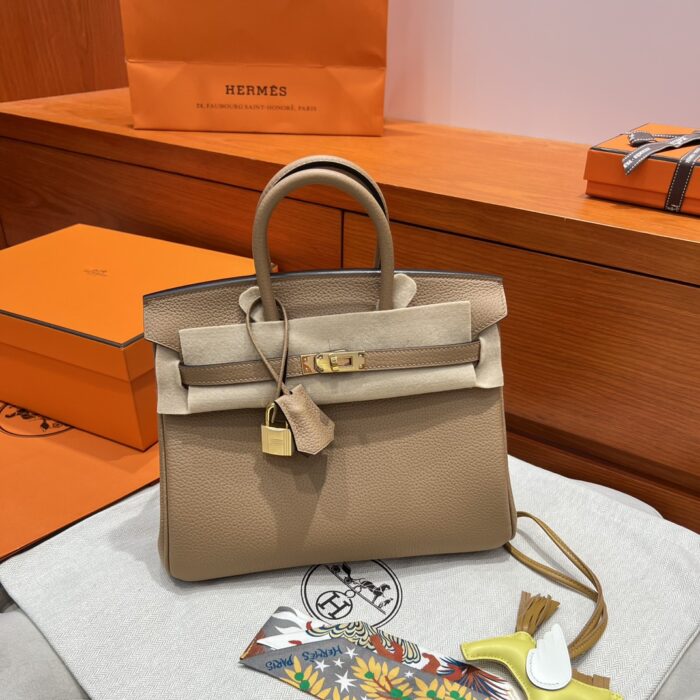 Birkin 25 | OM Chai Togo Leather | Gold Hardware | 25×20×13cm - Image 17