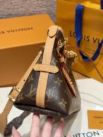 Carryall BB Monogram Handbag | Classic Color | 17×10×26cm - Image 4