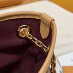 Carryall BB Monogram Handbag | Classic Color | 17×10×26cm - Image 16