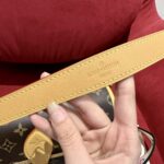 DIANE Handbag | Classic Color | Monogram Canvas - Image 7
