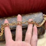 WALLET ON CHAIN IVY Monogram Handbag | Classic Color | 12×4.3×23.5cm - Image 11