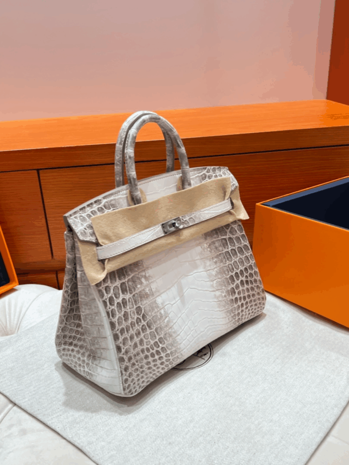 Birkin 25 Bag – Himalaya with Silver Hardware, 25×20×13 cm, Niloticus Leather from France - Image 1