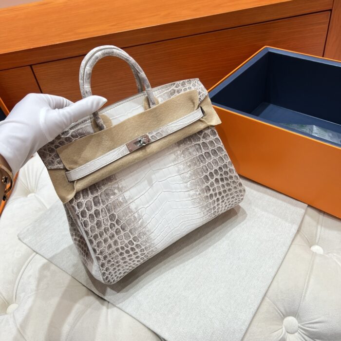 Birkin 25 Bag – Himalaya with Silver Hardware, 25×20×13 cm, Niloticus Leather from France - Image 2
