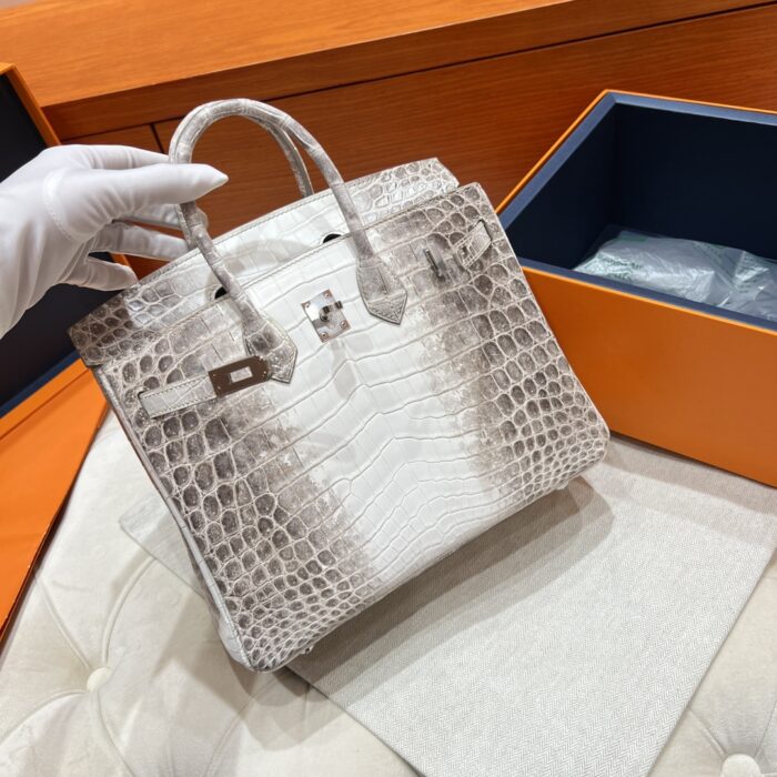 Birkin 25 Bag – Himalaya with Silver Hardware, 25×20×13 cm, Niloticus Leather from France - Image 3
