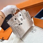 Birkin 25 Bag – Himalaya with Silver Hardware, 25×20×13 cm, Niloticus Leather from France - Image 4