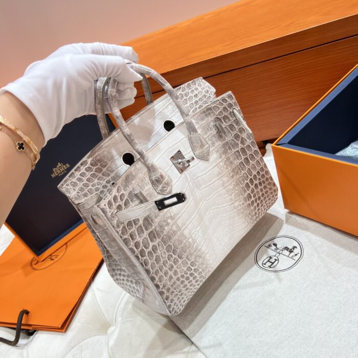 Birkin 25 Bag – Himalaya with Silver Hardware, 25×20×13 cm, Niloticus Leather from France - Image 4