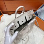 Birkin 25 Bag – Himalaya with Silver Hardware, 25×20×13 cm, Niloticus Leather from France - Image 6