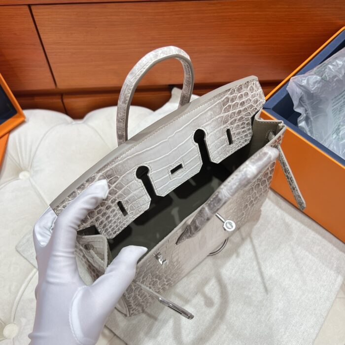 Birkin 25 Bag – Himalaya with Silver Hardware, 25×20×13 cm, Niloticus Leather from France - Image 6
