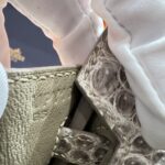 Birkin 25 Bag – Himalaya with Silver Hardware, 25×20×13 cm, Niloticus Leather from France - Image 8