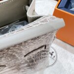 Birkin 25 Bag – Himalaya with Silver Hardware, 25×20×13 cm, Niloticus Leather from France - Image 9