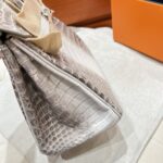 Birkin 25 Bag – Himalaya with Silver Hardware, 25×20×13 cm, Niloticus Leather from France - Image 11