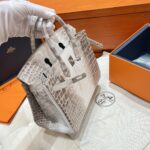Birkin 25 Bag – Himalaya with Silver Hardware, 25×20×13 cm, Niloticus Leather from France - Image 13